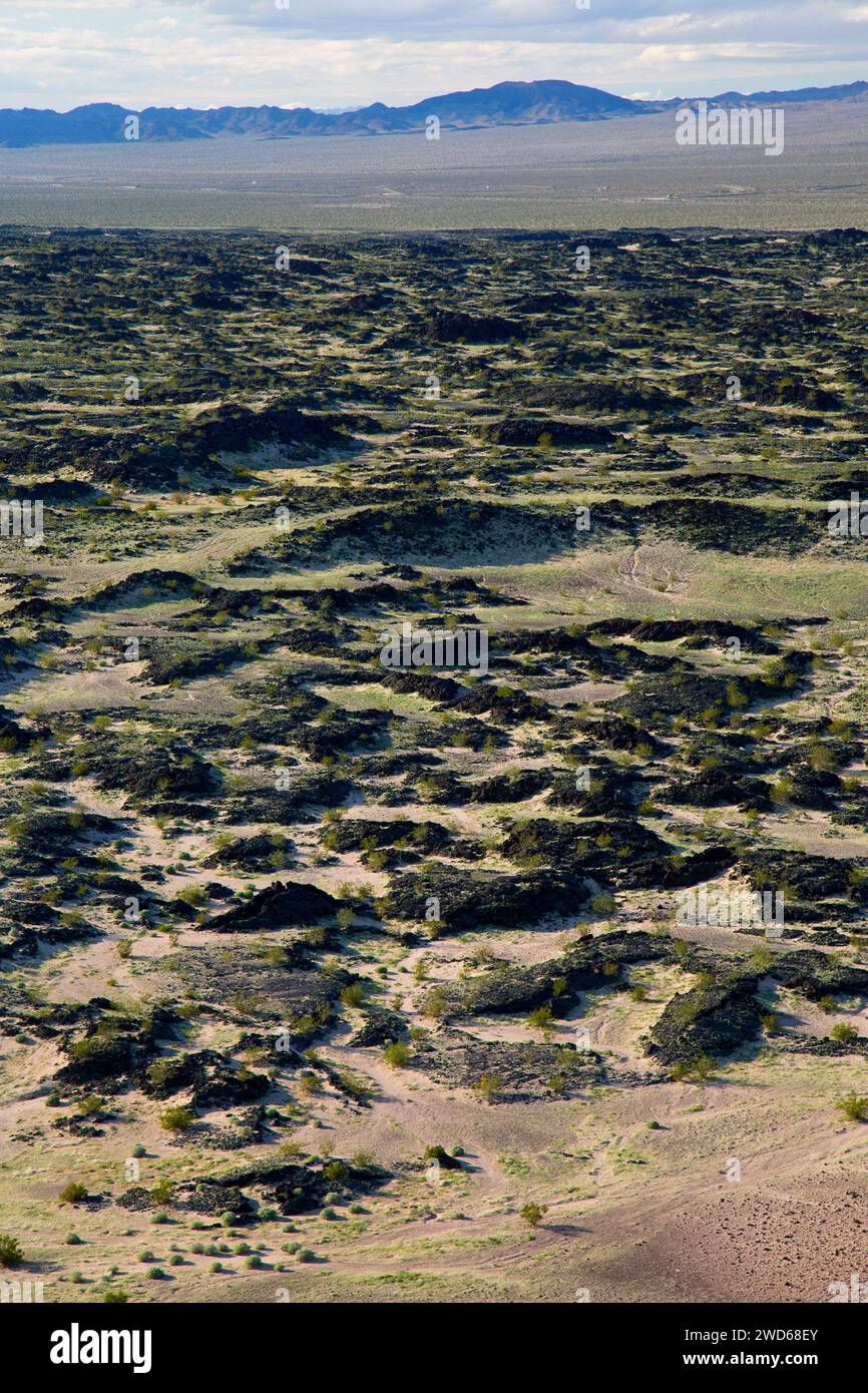 Vista dal cratere di Amboy Trail, Mojave sentieri monumento nazionale, California Foto Stock