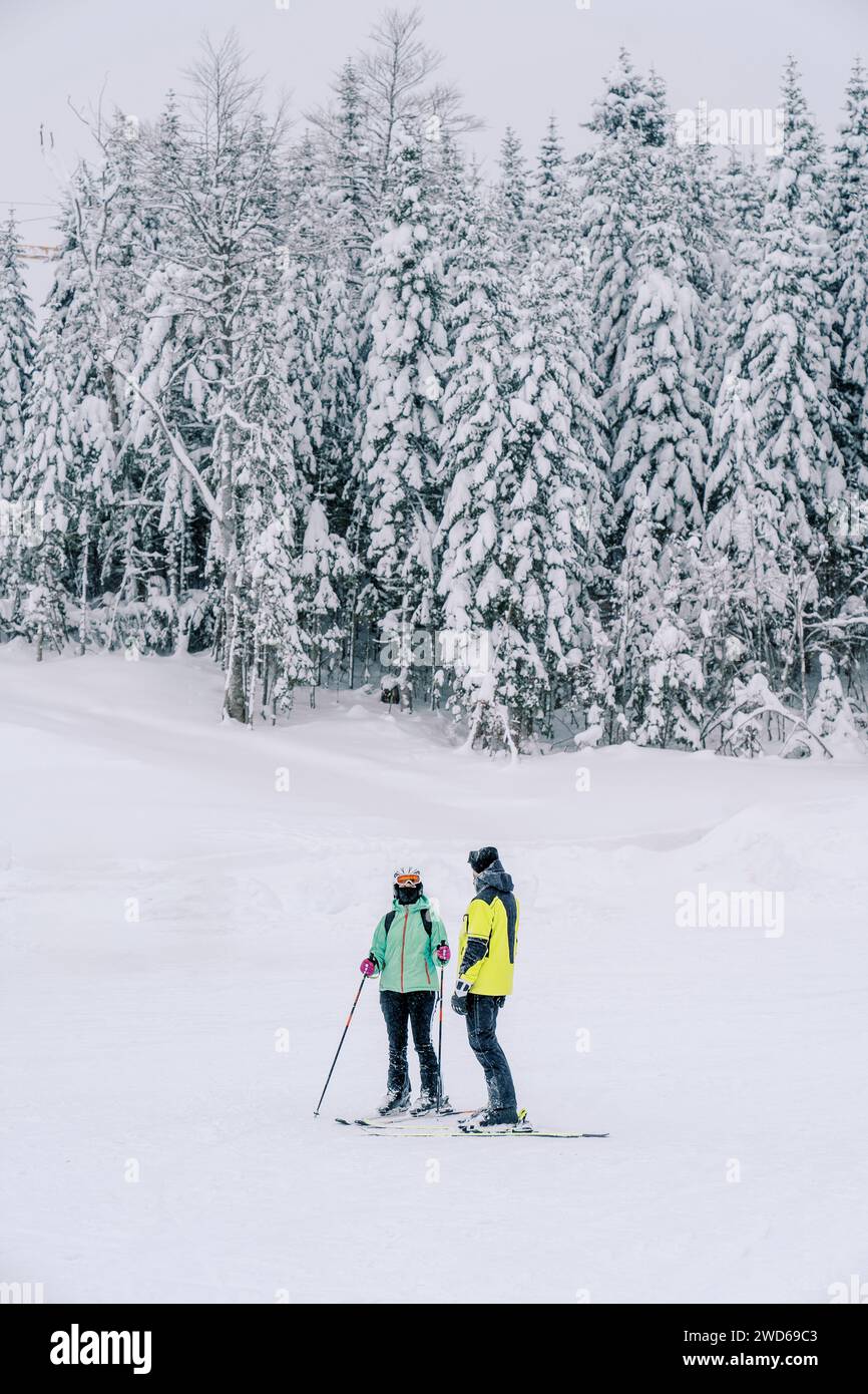 Due sciatori si trovano su una pista innevata ai margini della foresta Foto Stock