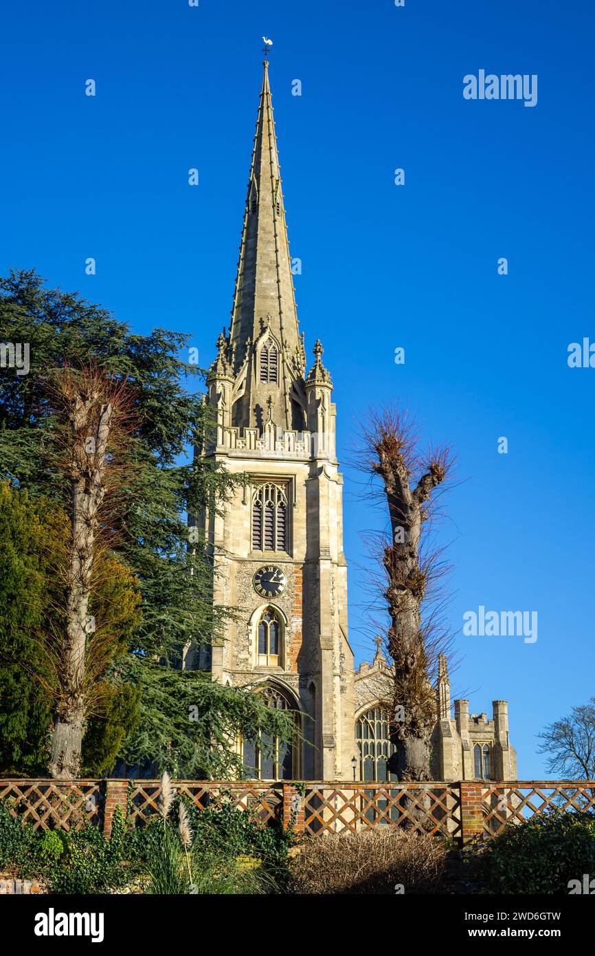 L'imponente guglia della chiesa di Santa Maria si erge orgogliosamente contro un cielo azzurro limpido a Saffron Walden, in Inghilterra Foto Stock