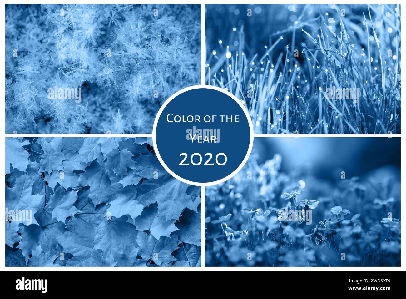 Concetto del colore di tendenza dell'anno 2020 blu classico. Collage di quattro stagioni: Inverno, primavera, estate, autunno Foto Stock