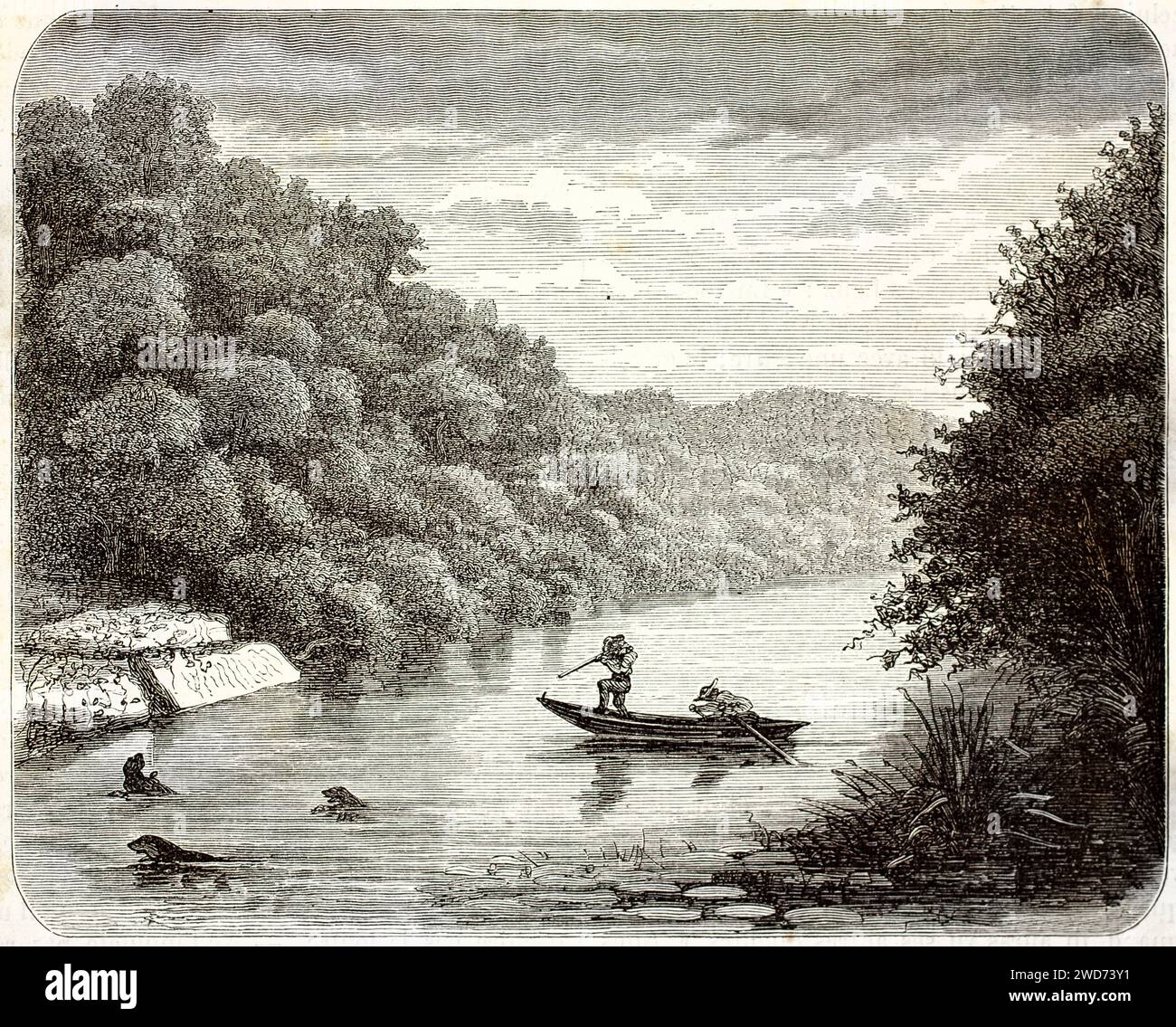 Vecchia illustrazione che raffigura i cacciatori che sparano lontre dalla canoa. Creato da Bocourt e Sargent, pubblicato su Brehm, Les Mammifers, Baillière et fils, P. Foto Stock