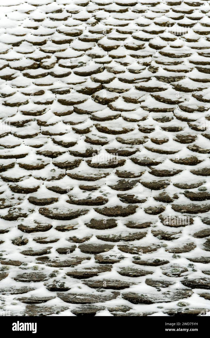 Un tetto piastrellato di un edificio coperto di neve. Aubrac, Francia Foto Stock