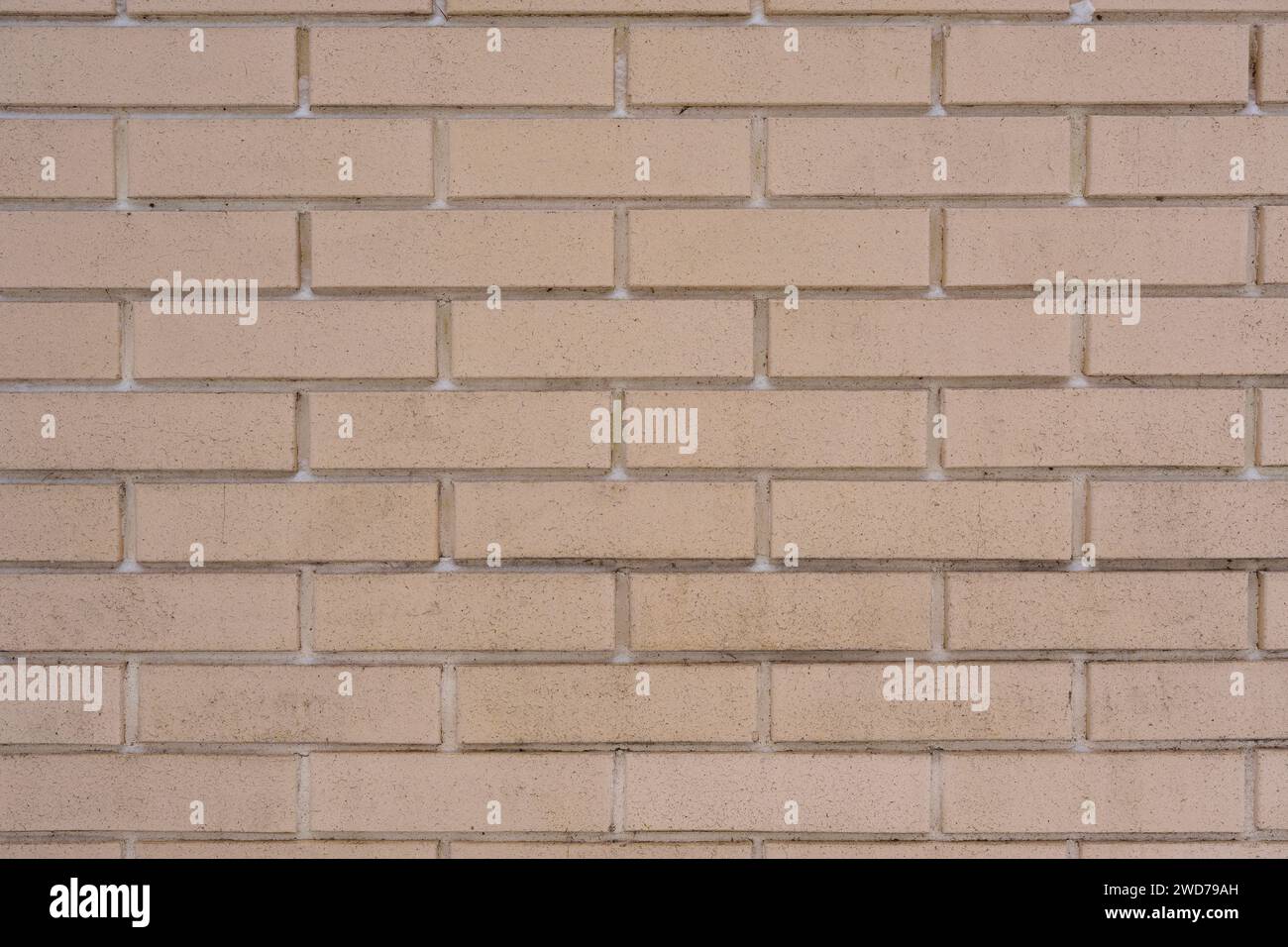 Un primo piano di un muro di mattoni beige testurizzato Foto Stock