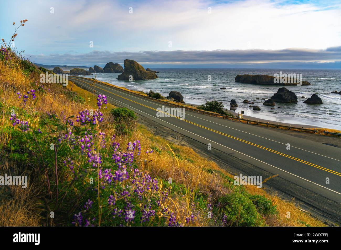 Strada costiera che si affaccia sulla spiaggia di Meyers Creek in Oregon con fiori selvatici Foto Stock