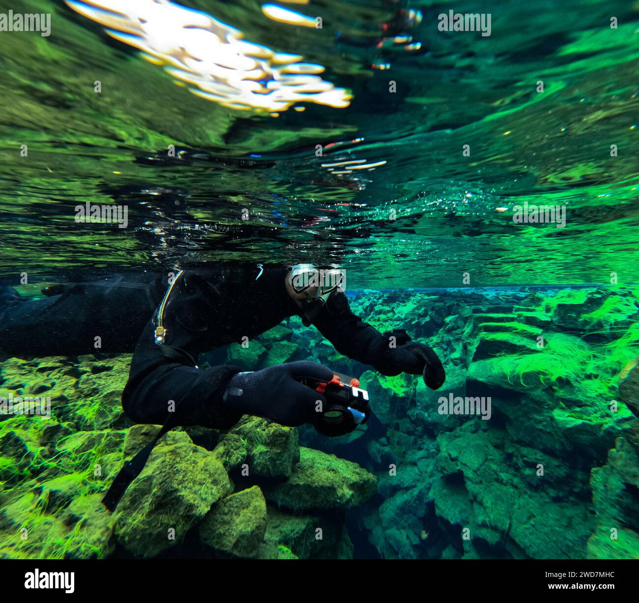 L'uomo nuota e scatta foto sotto l'acqua glaciale con alghe verdi Foto Stock