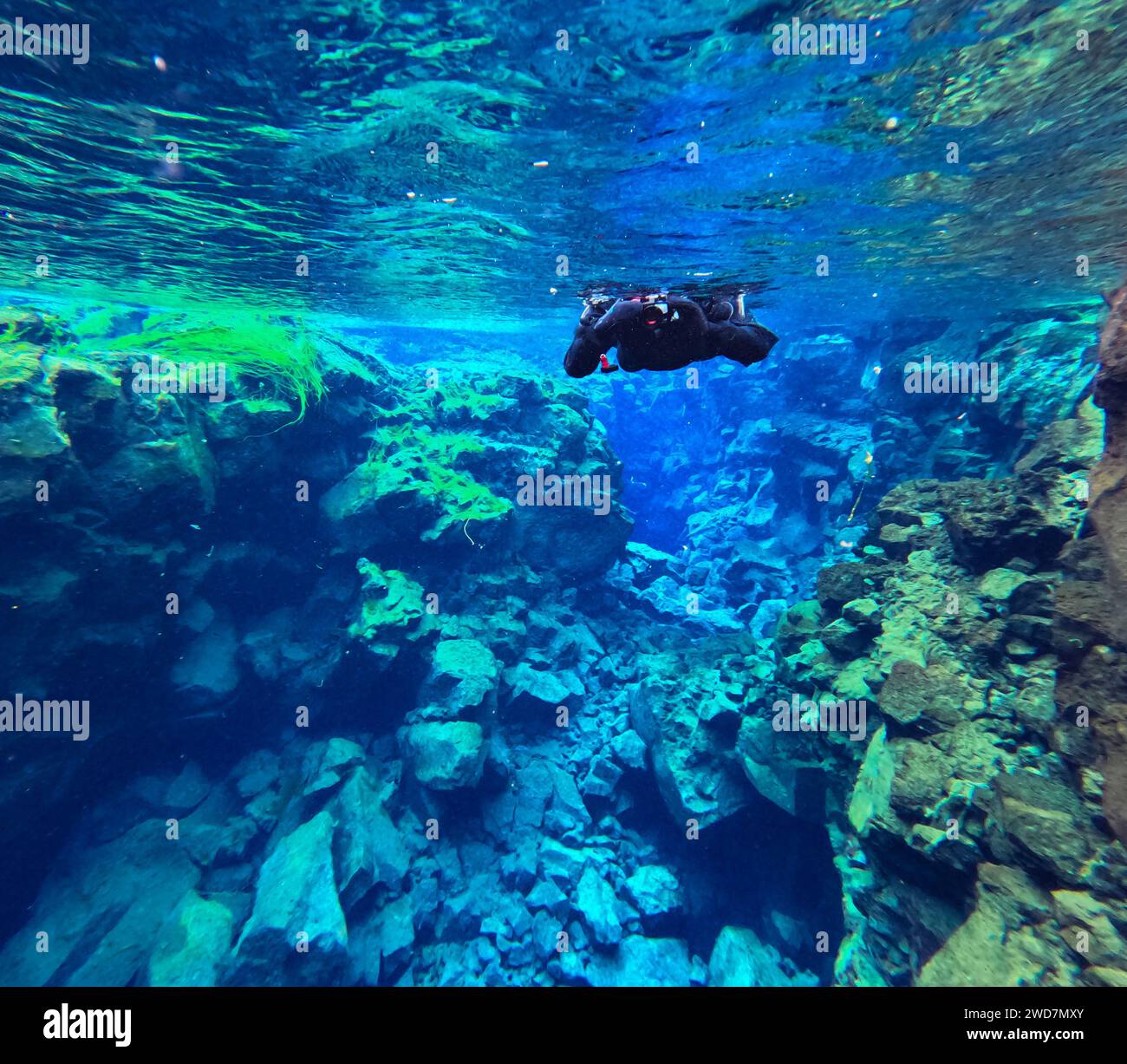 La persona in muta asciutta fotografa sott'acqua nel canyon glaciale limpido Foto Stock