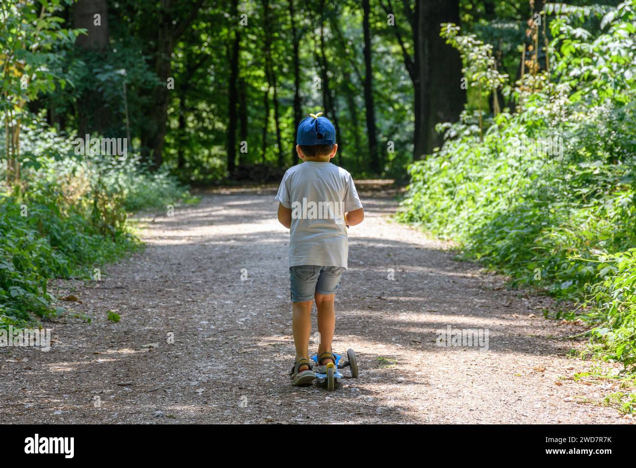 Ragazzo su uno scooter a tre ruote su un sentiero di ghiaia nel parco con vegetazione lussureggiante in una giornata di sole d'estate Foto Stock