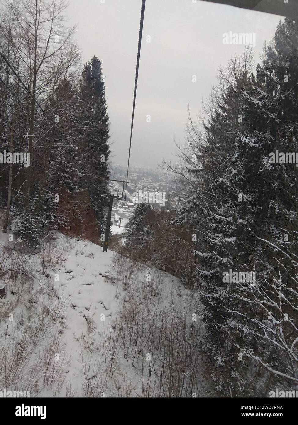 Splendidi paesaggi con pini innevati a Monaco (Germania). Foto Stock