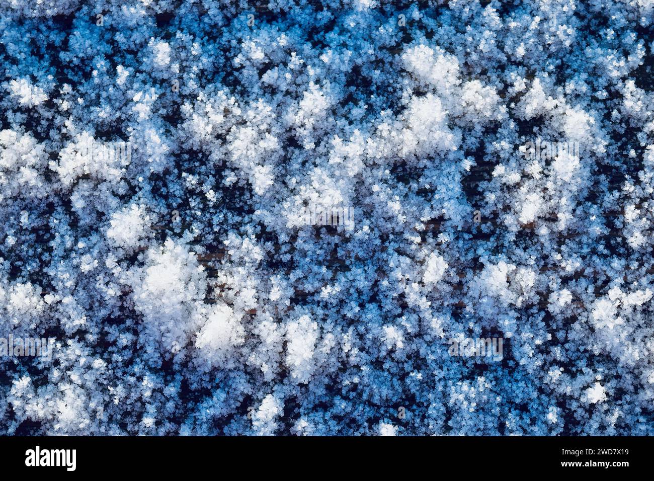 Terreno invernale Frost background texture, terreno coperto di ghiaccio ghiacciato cristallo Foto Stock