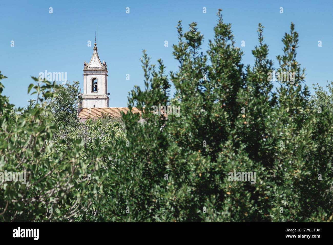 Immagine del paesaggio con dettagli della torre della chiesa sullo sfondo e alberi in primo piano sfocato, Conimbriga, Portogallo. Foto Stock