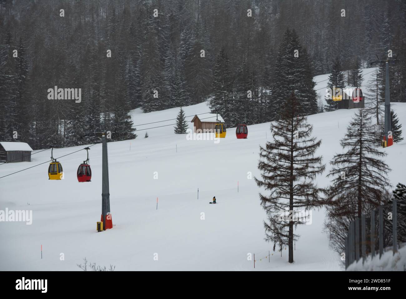 Funivia colorata in inverno sulla foresta innevata Foto Stock