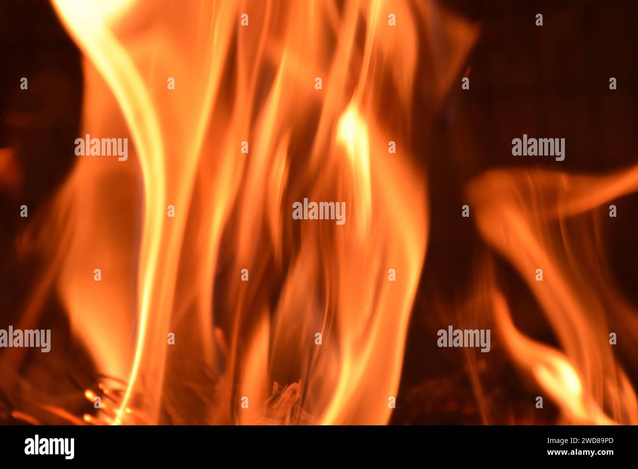 Fiamme di fuoco, rapida ossidazione del carburante, rilascio di calore, luce, fiamme. La fiamma è la parte visibile del fuoco con vari colori e intensità Foto Stock