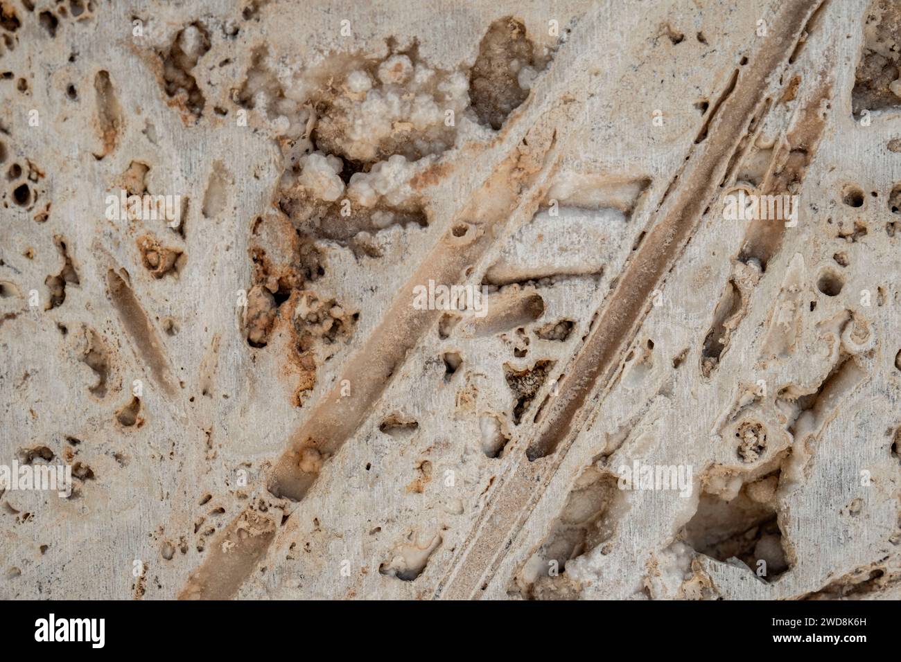 Dettaglio della cassaforma in calcestruzzo rivestimento delle pareti struttura astratta porosa, messa a fuoco selettiva Foto Stock