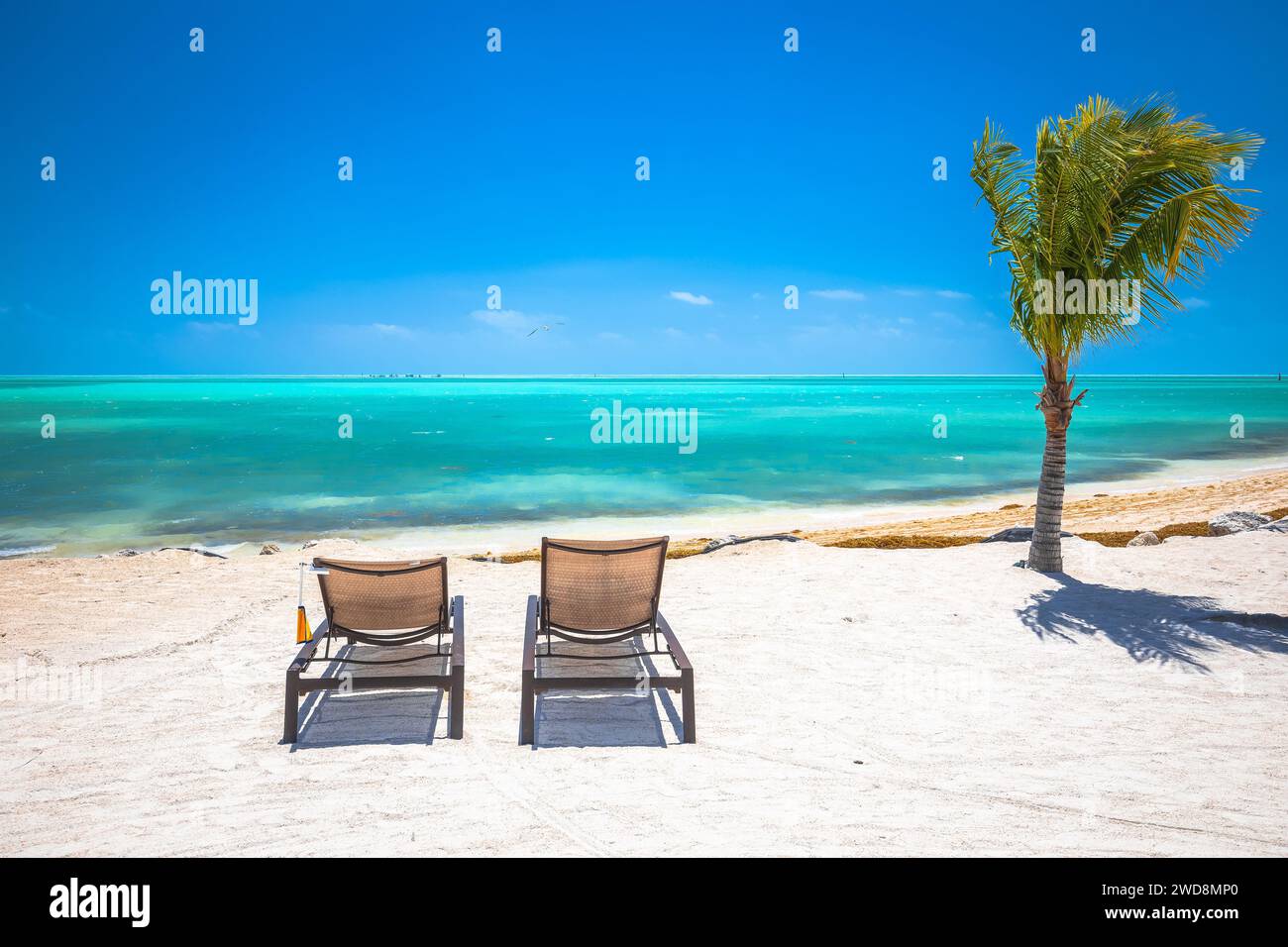 Florida Keys, vista panoramica sulla spiaggia di sabbia bianca, Maratona, Florida, Stati Uniti Foto Stock