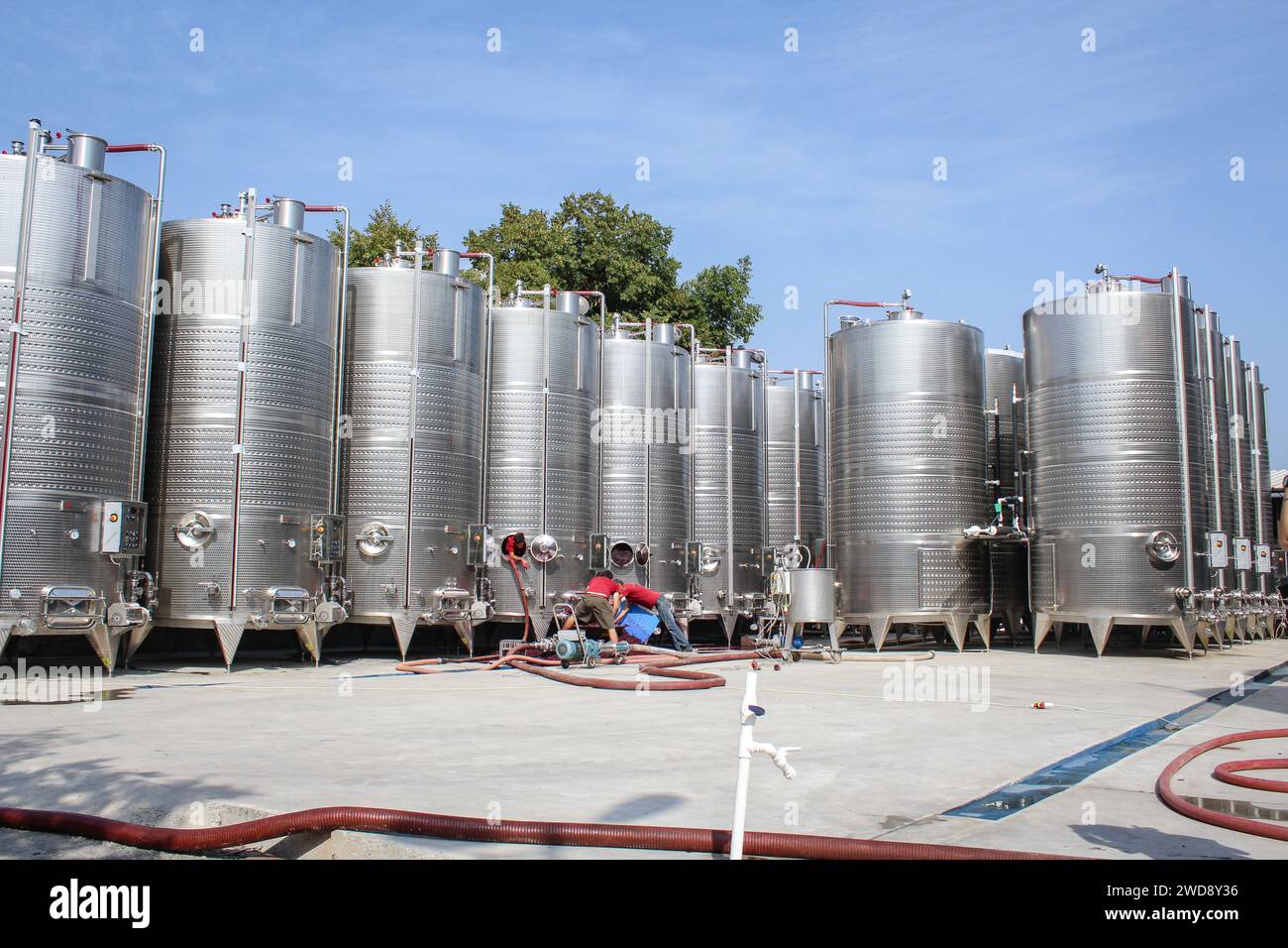 Corporation Kindzmarauli, Georgia - 28 agosto 2018. Tre uomini che puliscono una grande vasca di vinificazione in acciaio in una fabbrica vinicola. Moderno technolo di produzione di vino Foto Stock