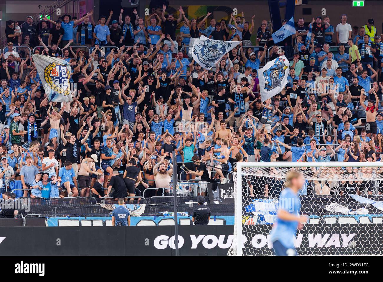 Sydney, Australia. 19 gennaio 2024. I tifosi del Sydney FC mostrano il loro supporto durante la partita A-League Men Rd13 tra Sydney FC e Newcastle Jets all'Allianz Stadium il 19 gennaio 2024 a Sydney, Australia Credit: IOIO IMAGES/Alamy Live News Foto Stock