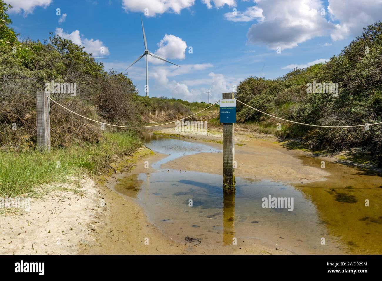 Segnalate la fragile area naturale, senza accesso, nella riserva naturale sull'isola di Neeltje Jans vicino a Oosterscheldekering, Zelanda, Paesi Bassi Foto Stock