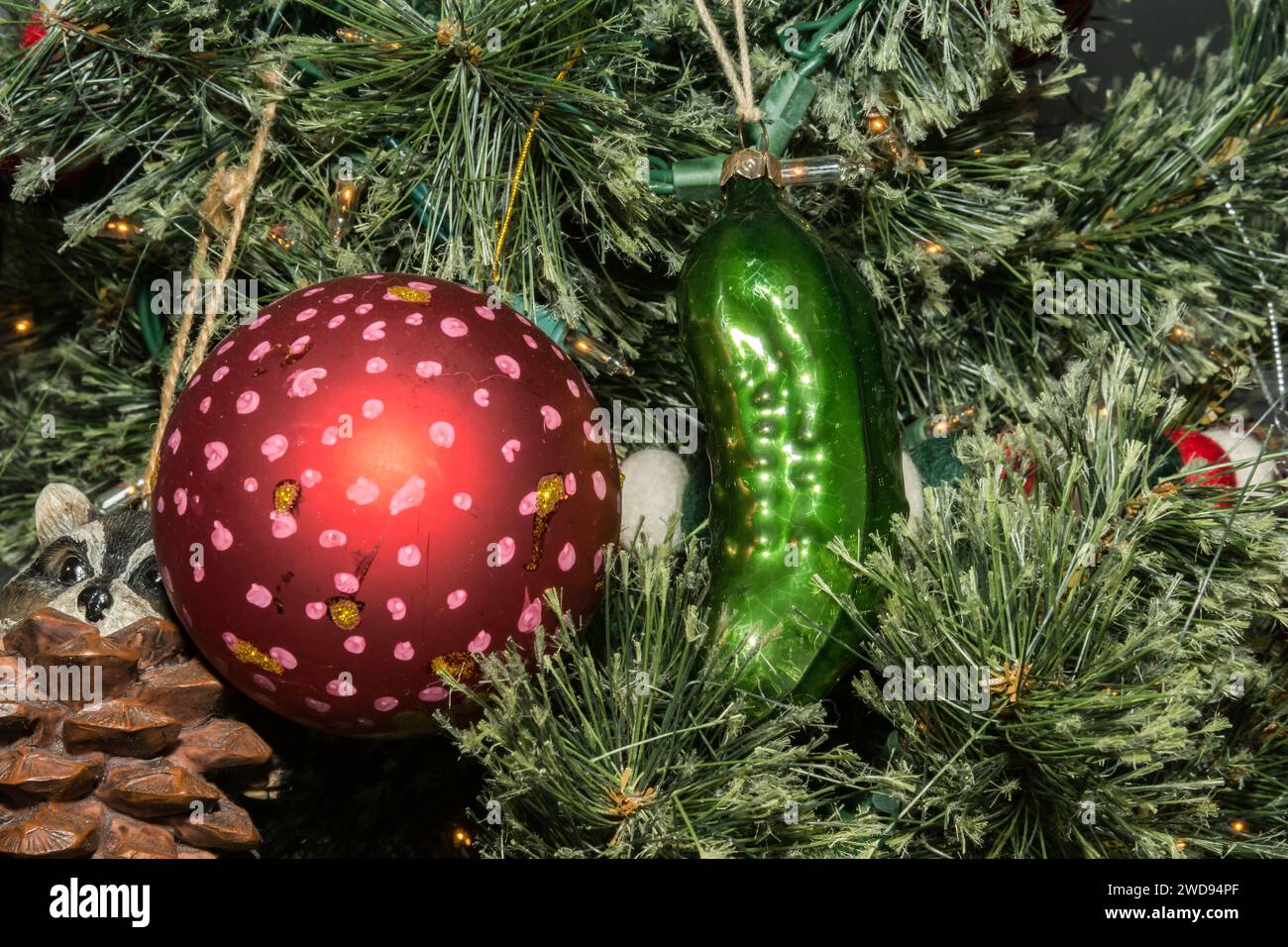 Nascondere il Christmas Pickle Foto Stock