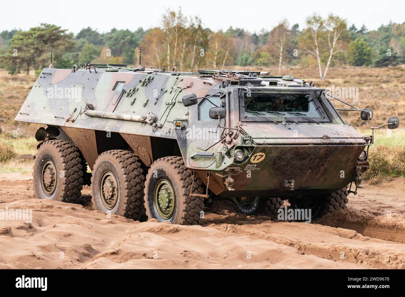 Un vettore di personale corazzato Tpz Fuchs delle forze armate olandesi. Foto Stock