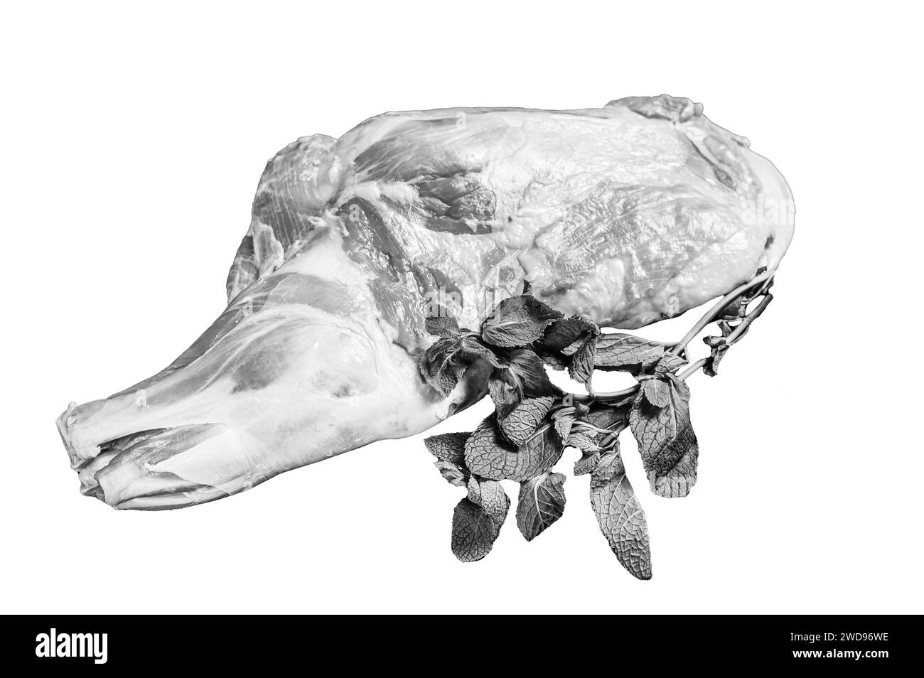 Carne di gambo di agnello crudo con aglio e menta. Isolato su sfondo bianco, vista dall'alto Foto Stock