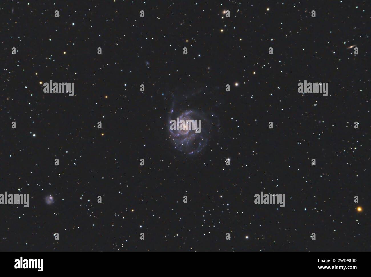 La galassia Pinwheel (nota anche come Messier 101, M101 o NGC 5457), galassia a spirale frontale nella costellazione dell'Orsa maggiore Foto Stock