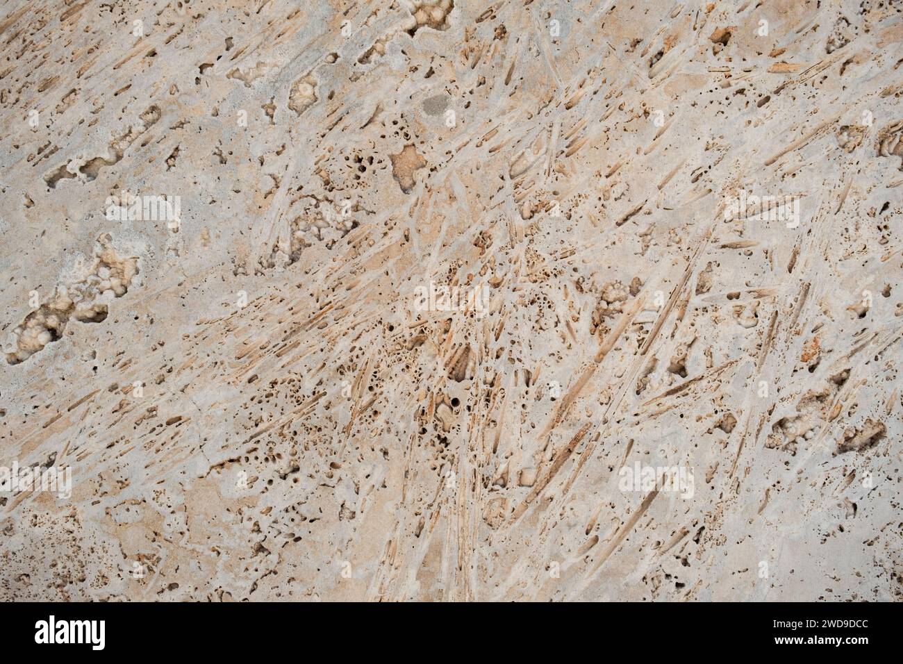 Dettaglio della cassaforma in calcestruzzo rivestimento delle pareti struttura astratta porosa, messa a fuoco selettiva Foto Stock