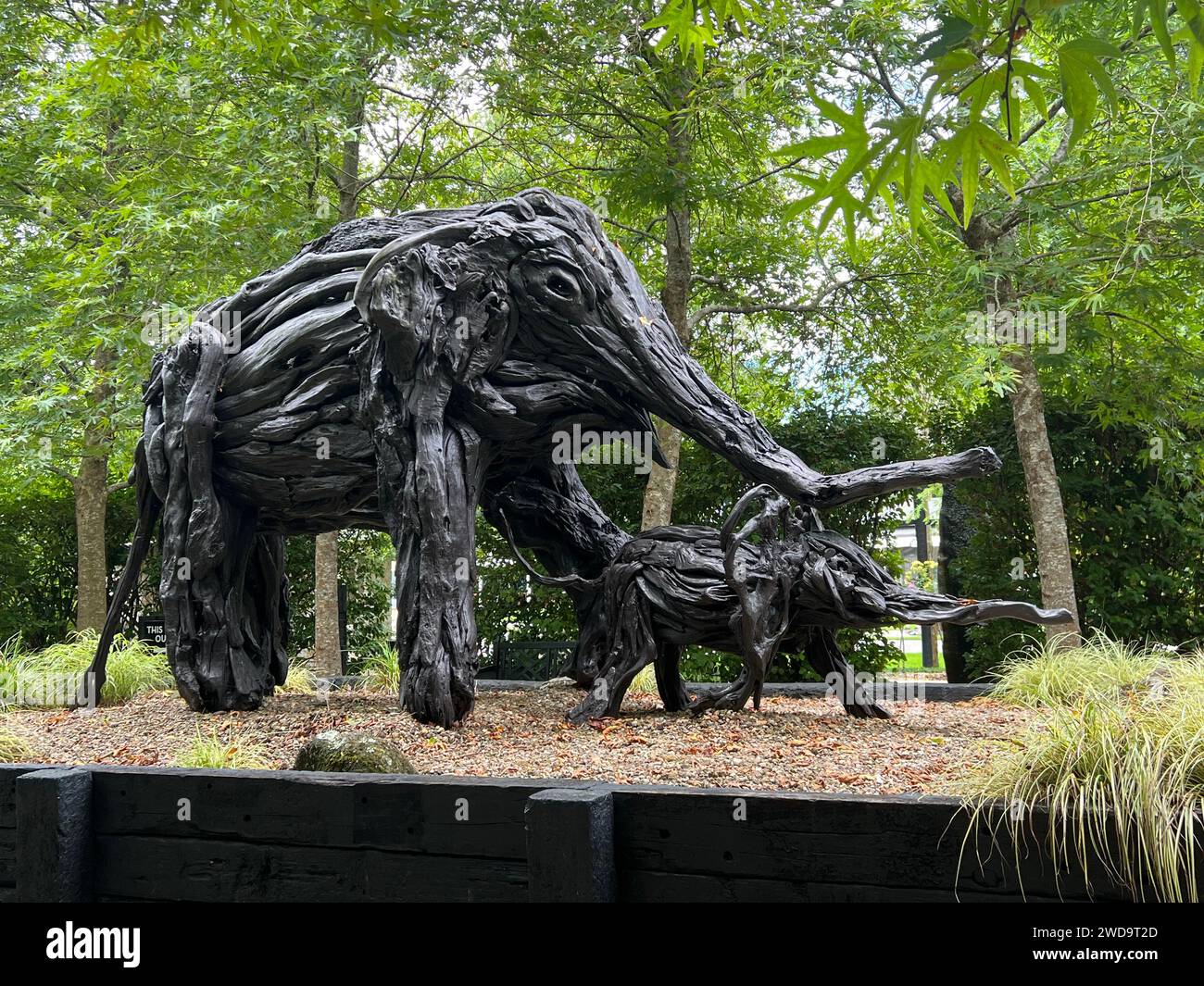 Matakana, nuova Zelanda: Parco di sculture Sculptureum. Un'enorme scultura moderna creata con il driftwood che rappresenta un elefante e il suo bambino Foto Stock