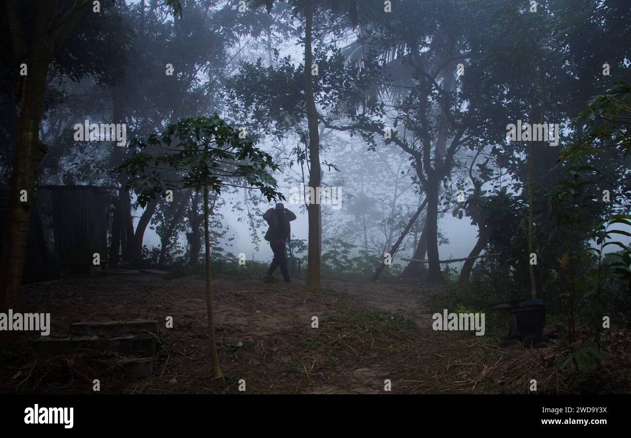Una mattinata invernale densamente nebbiosa. Questa immagine è stata catturata il 19 gennaio 2014 da Keraniganj, Bangladesh Foto Stock