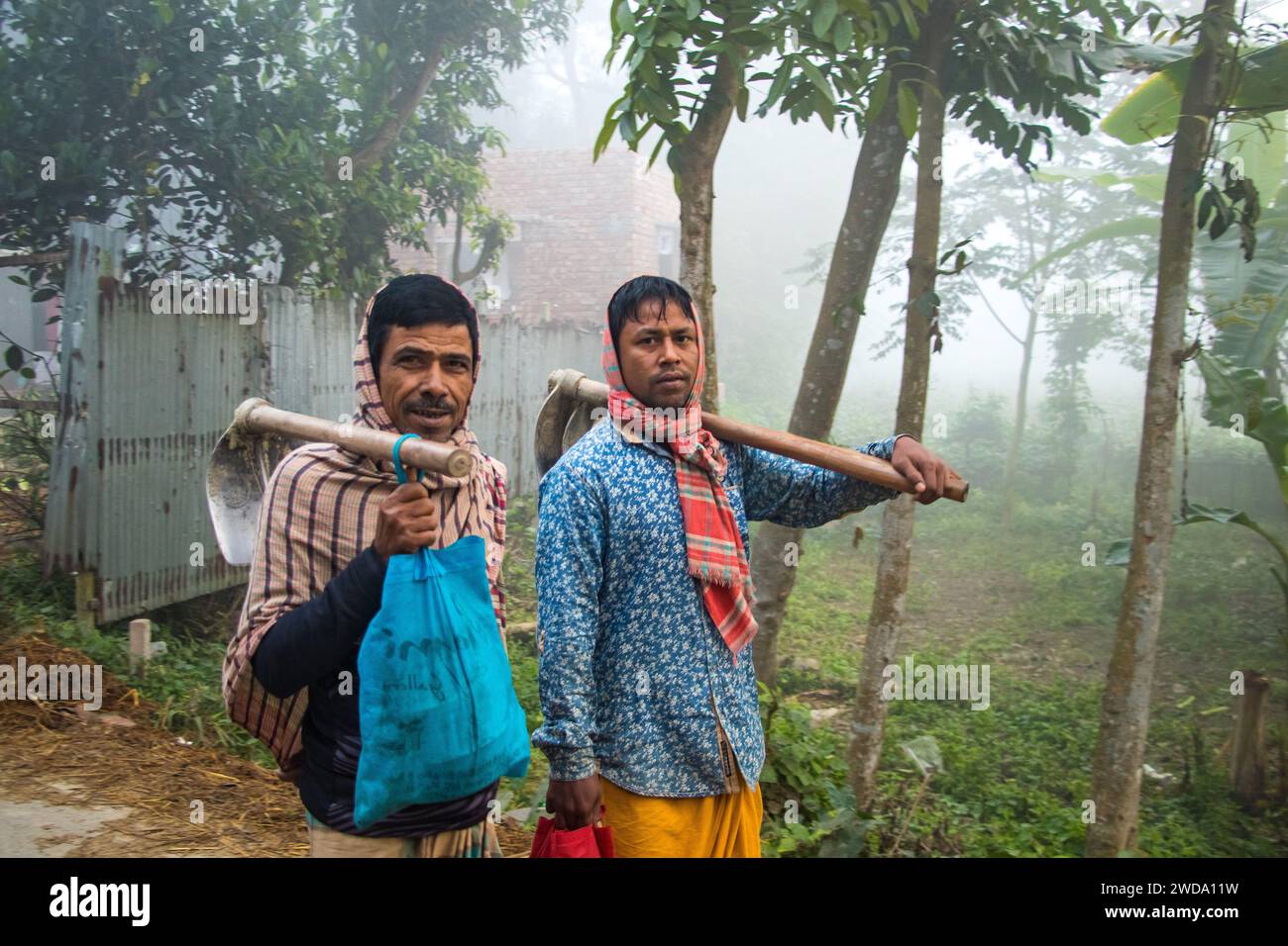 Una mattinata invernale densamente nebbiosa. Questa immagine è stata catturata il 19 gennaio 2014 da Keraniganj, Bangladesh Foto Stock