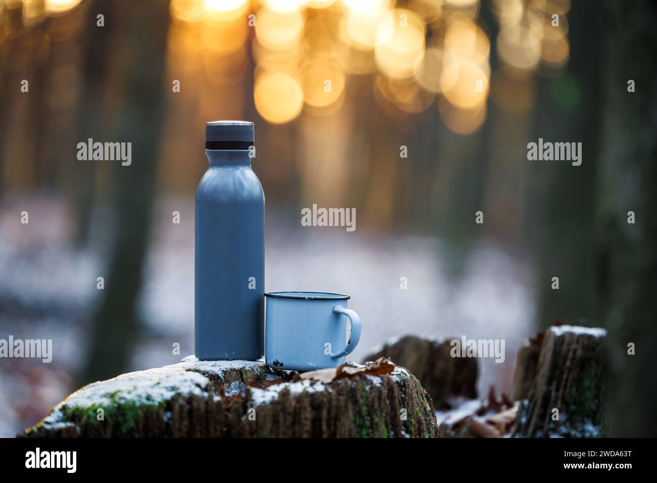 Thermos con bevanda calda e tazza da viaggio nella foresta durante il tramonto. Rinfresco durante l'escursione Foto Stock