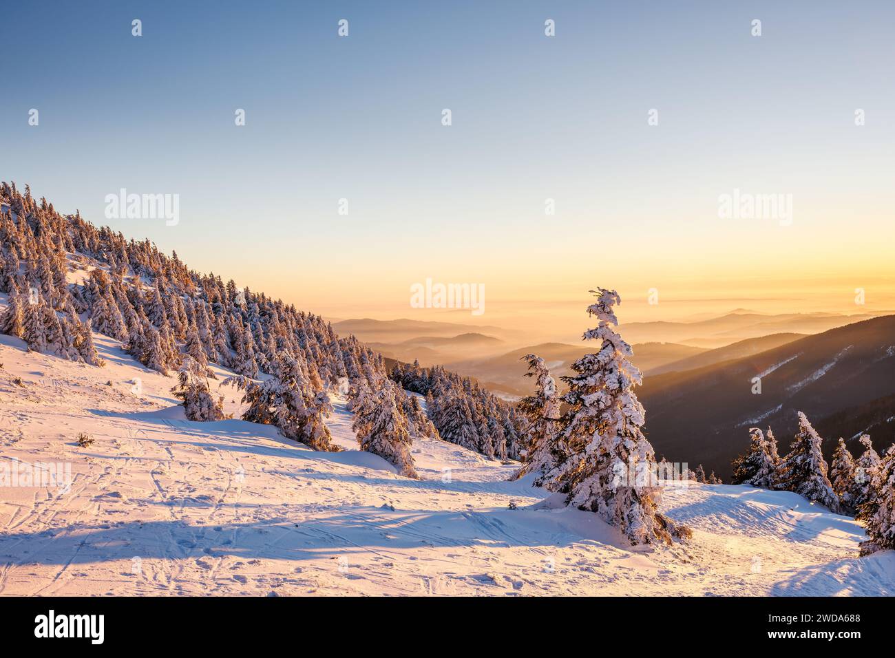Paesaggio invernale al tramonto. Montagna rossa innevata nel parco naturale delle montagne Jeseniky nella Repubblica Ceca Foto Stock