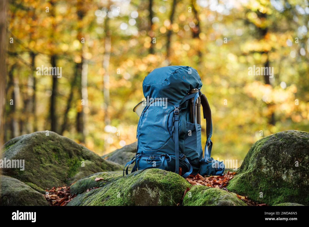 Zaino escursionistico sulla roccia nella foresta. Zaino blu, attrezzatura da trekking e gli indispensabili per l'esterno Foto Stock