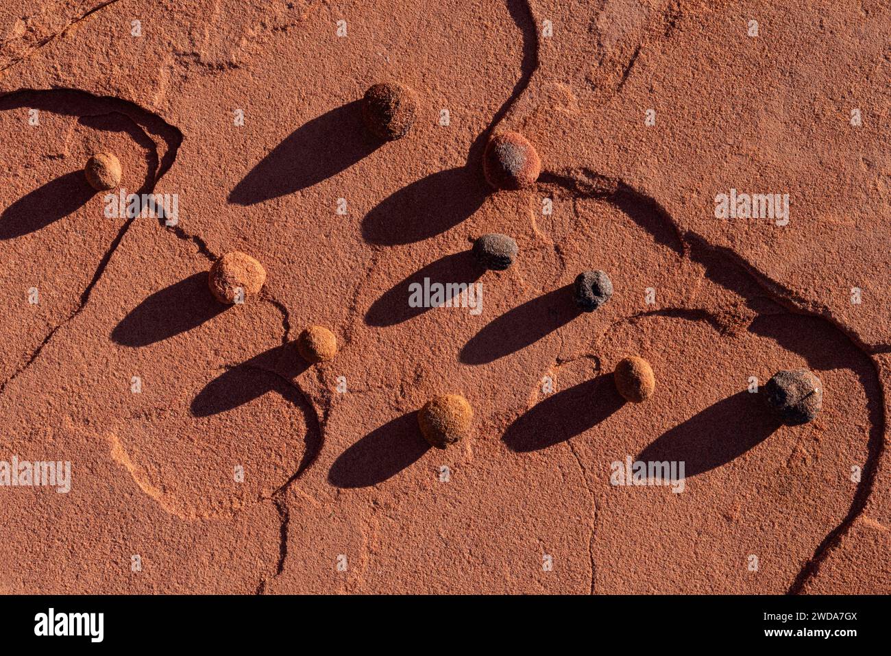 Marmi moki allo Snow Canyon State Park, Utah Foto Stock