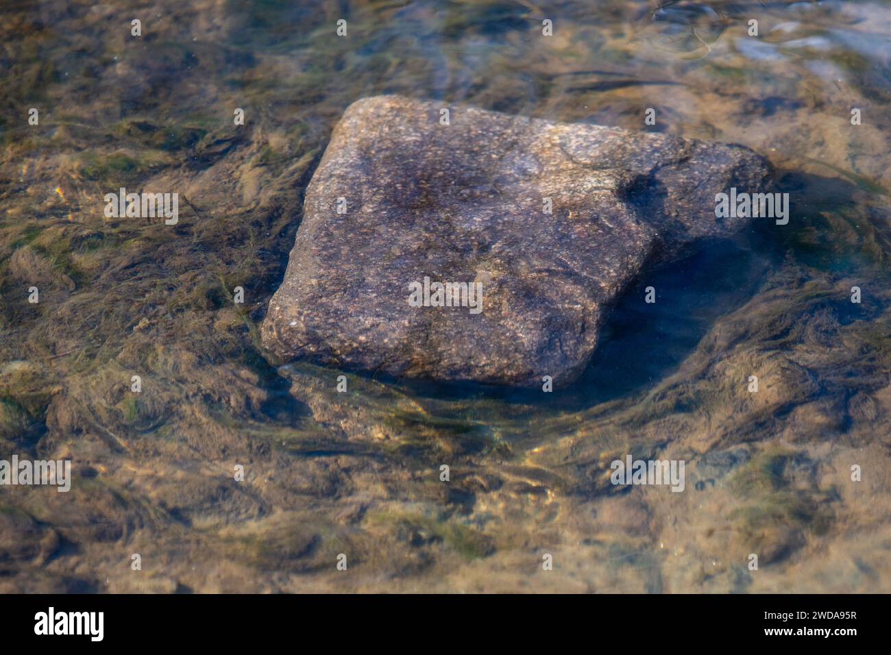 Grande pietra nel fiume. Oggetto Underwatwer. Seppellite i vostri fardelli, concetto. Vita. Foto Stock