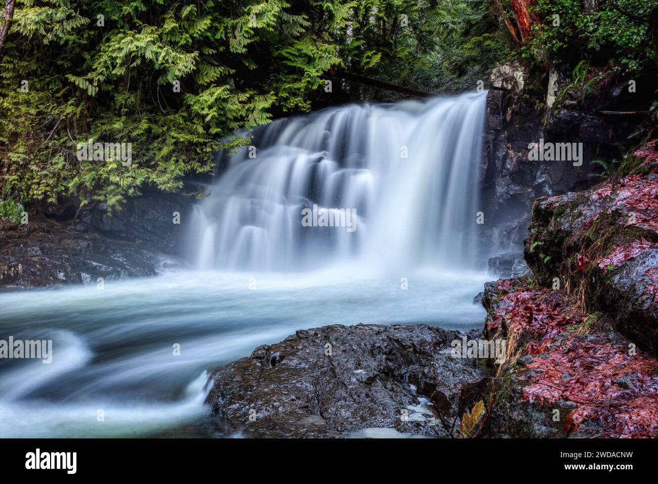 Cascate di Trout Creek. Trout Creek si trova nel Morton Lake Provincial Park. Questa area ricreativa si trova a nord del fiume Campbell sull'isola di Vancouver. Foto Stock