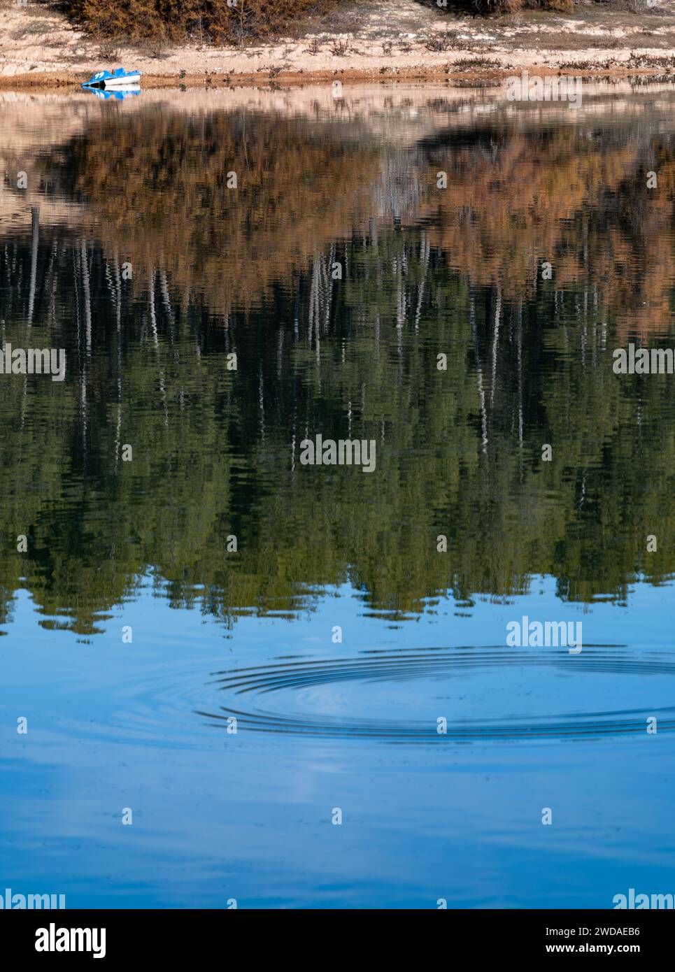 Riflessi della foresta e una barca blu nelle acque calme di un lago Foto Stock