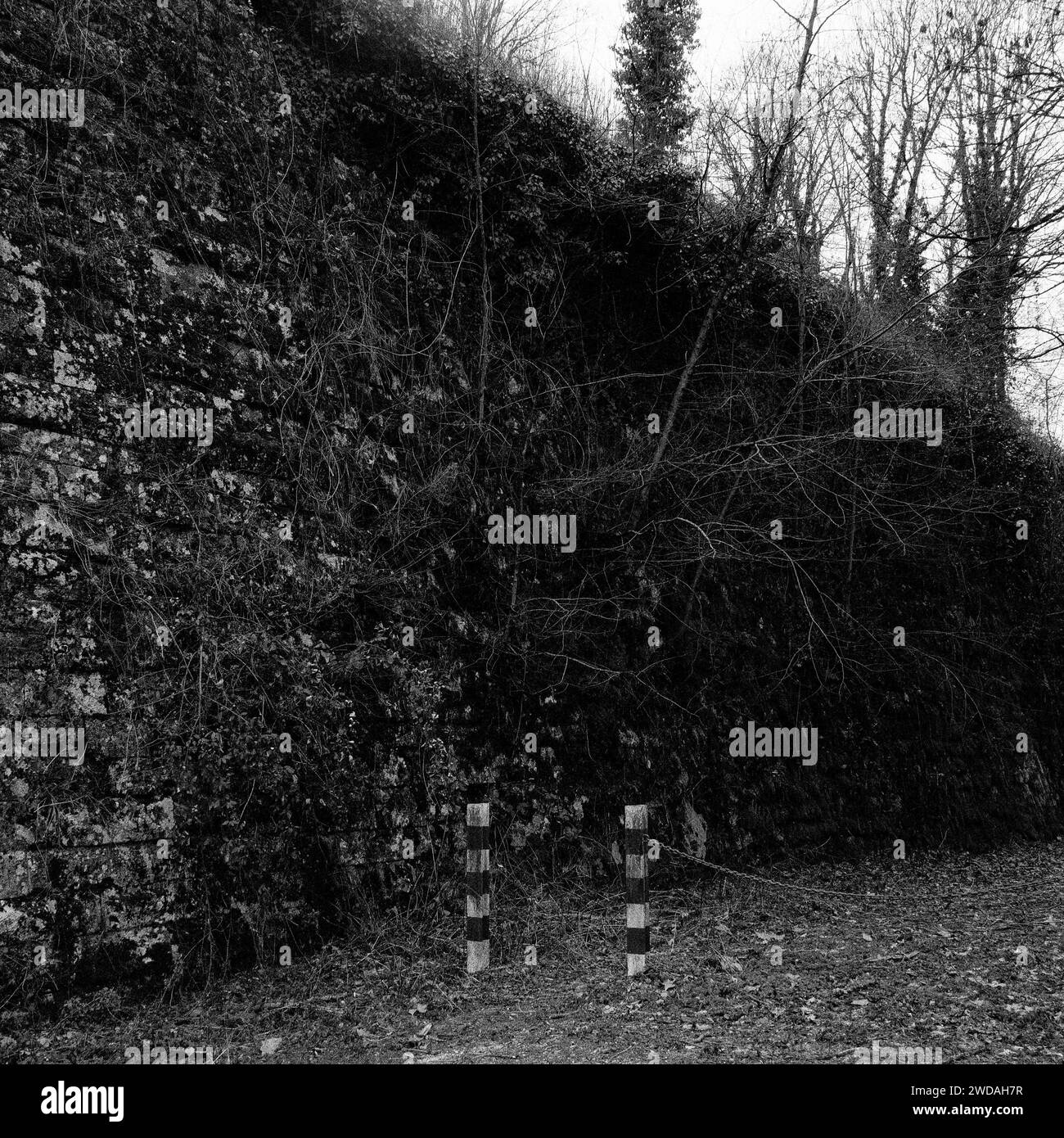 Mura della Cittadella, Verdun, Mosa, regione Grand-Est, Francia Foto Stock