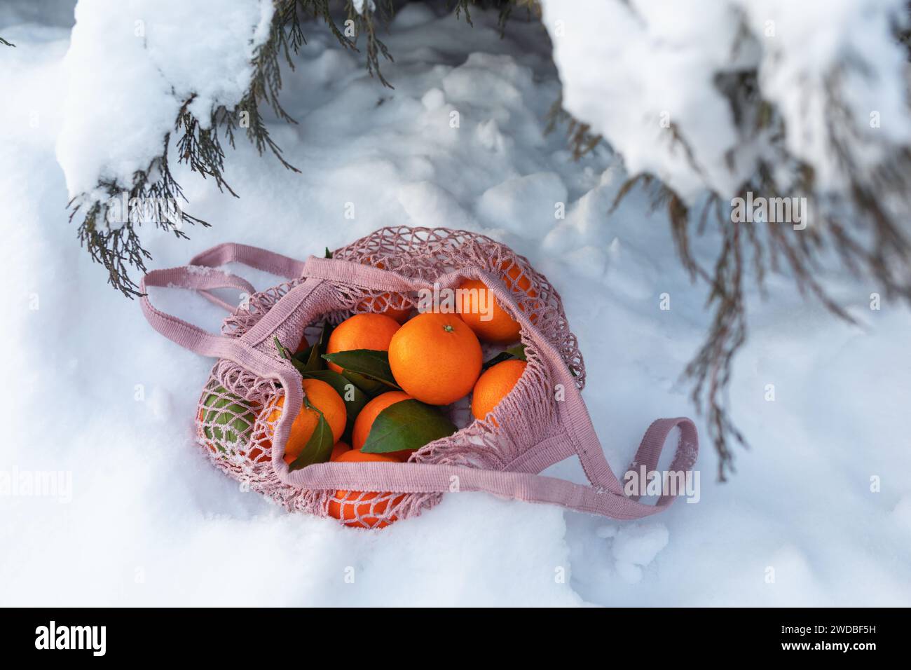 Una borsa con corda piena di mandarini sulla neve sotto l'albero di Natale Foto Stock