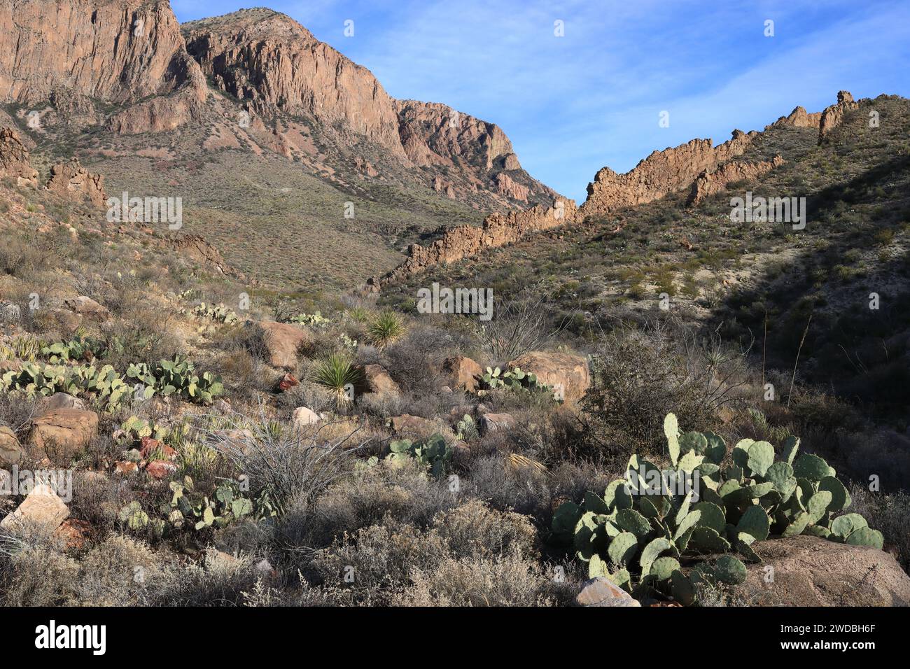 In Big Bend NP Foto Stock
