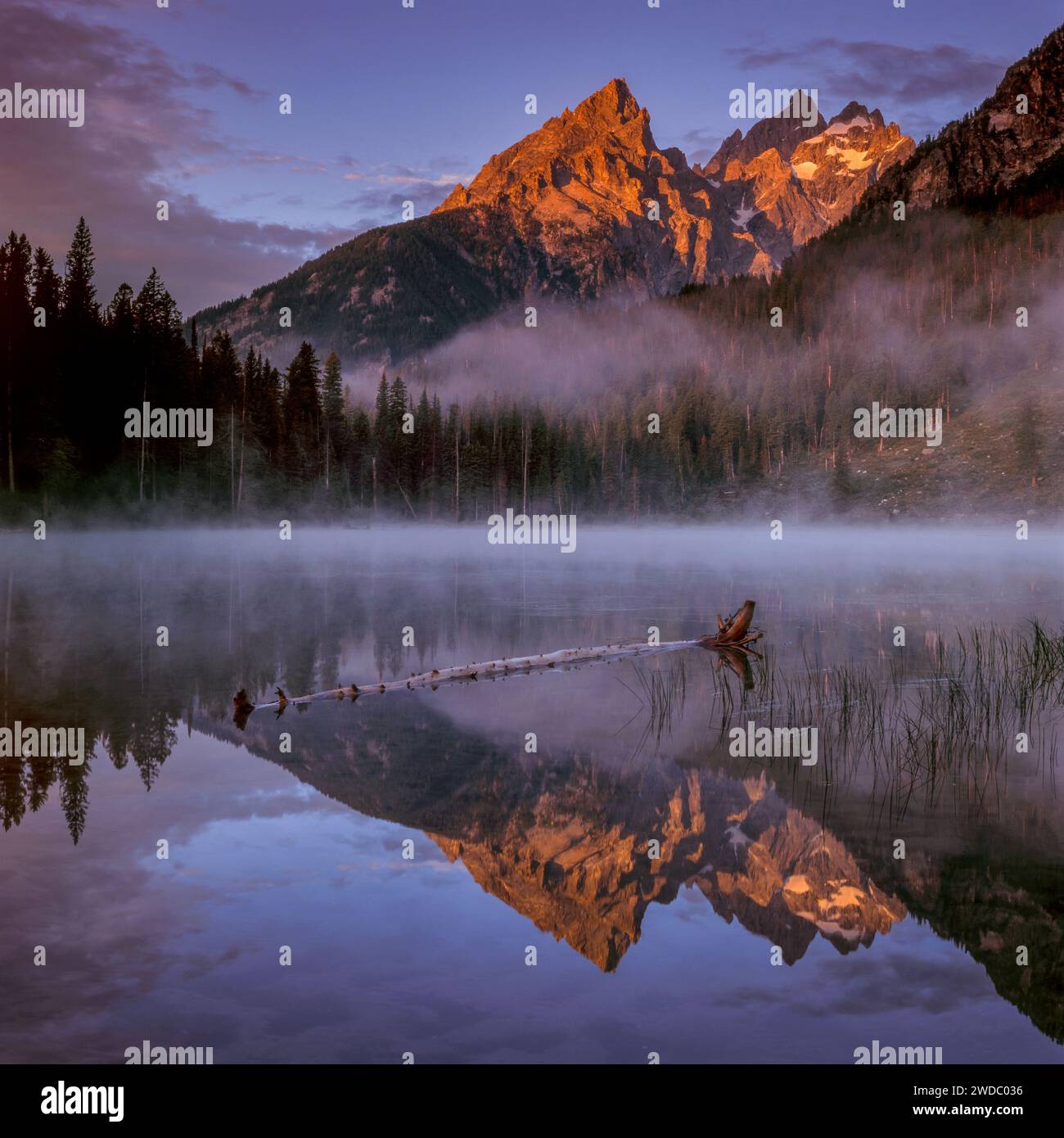 String Lake, Mount Teewinot, Grand Teton National Park, Wyoming Foto Stock