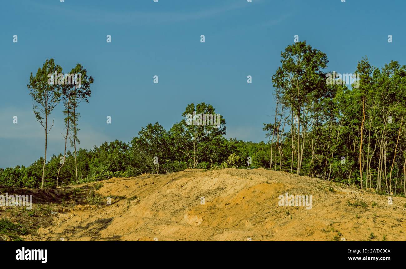 Paesaggio di collina asciutta che è stato ripulito da alberi per lo sviluppo con alberi rimanenti e cielo blu sullo sfondo, Corea del Sud Foto Stock