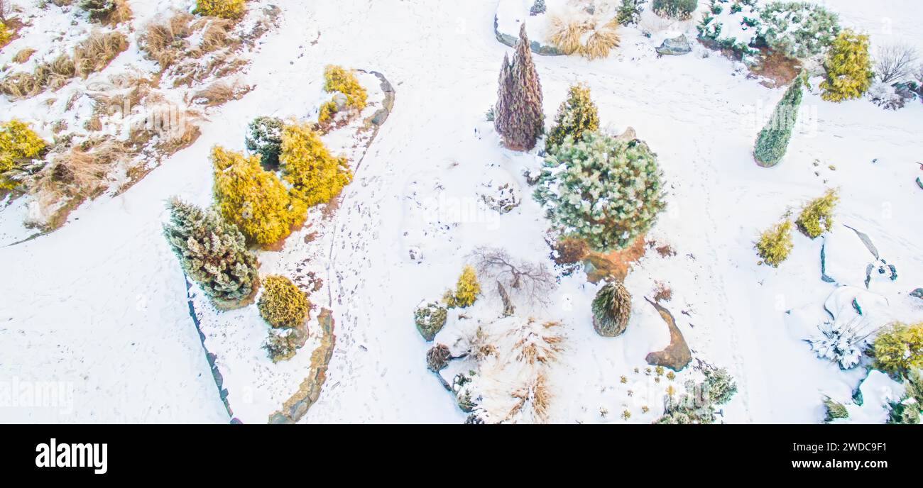 Vista aerea di alberi e pietre in un parco pubblico innevato. Alberi sempreverdi e impronte di piedi nella neve visti dall'alto, Corea del Sud Foto Stock