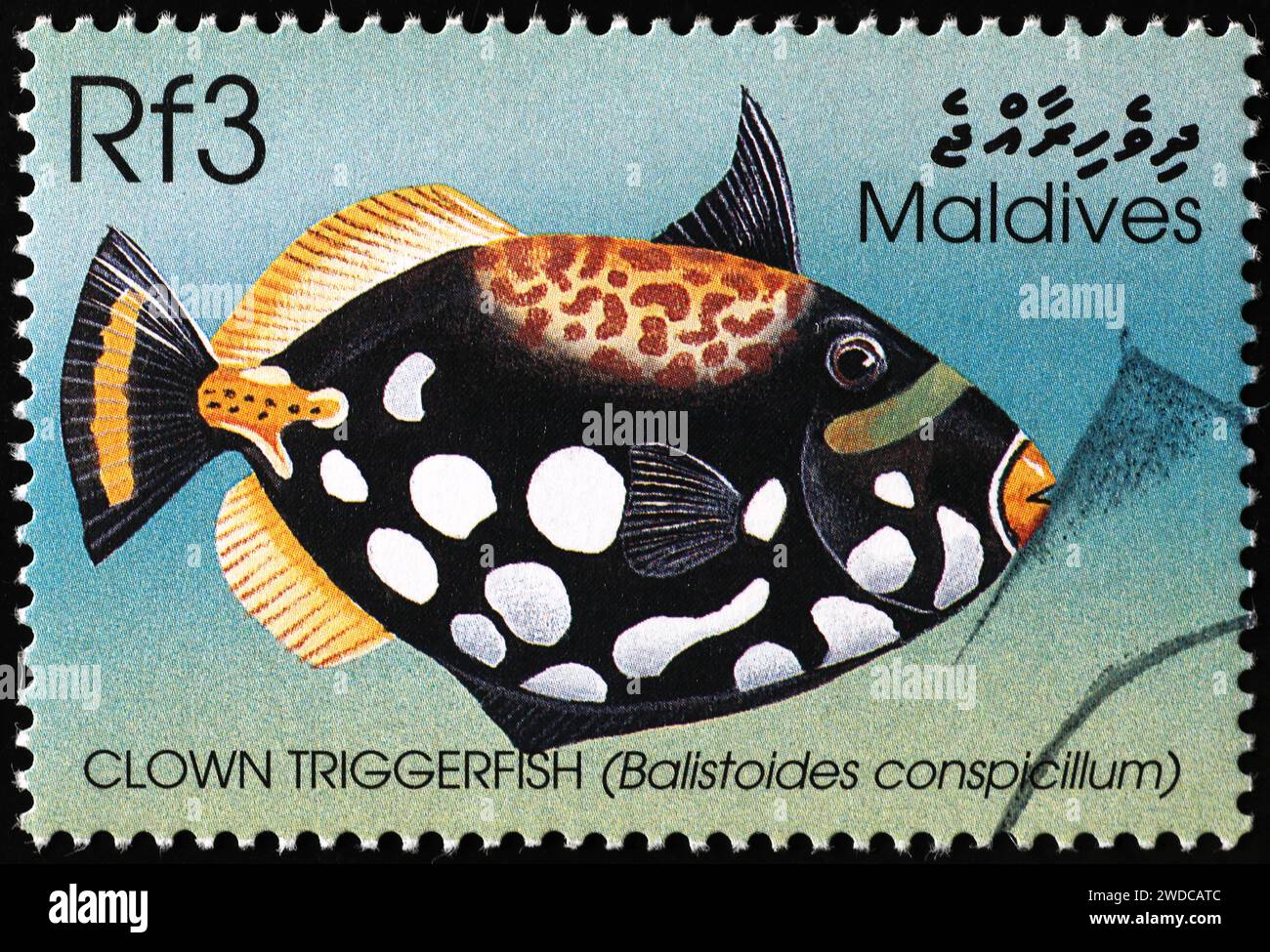 Clown triggerfish su francobollo delle Maldive Foto Stock