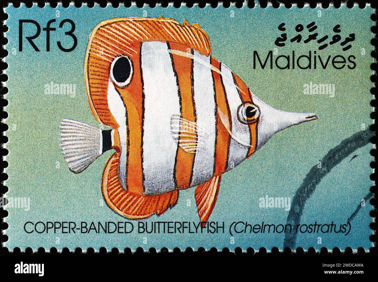 Pesci mosca con banchi di rame su francobollo delle Maldive Foto Stock
