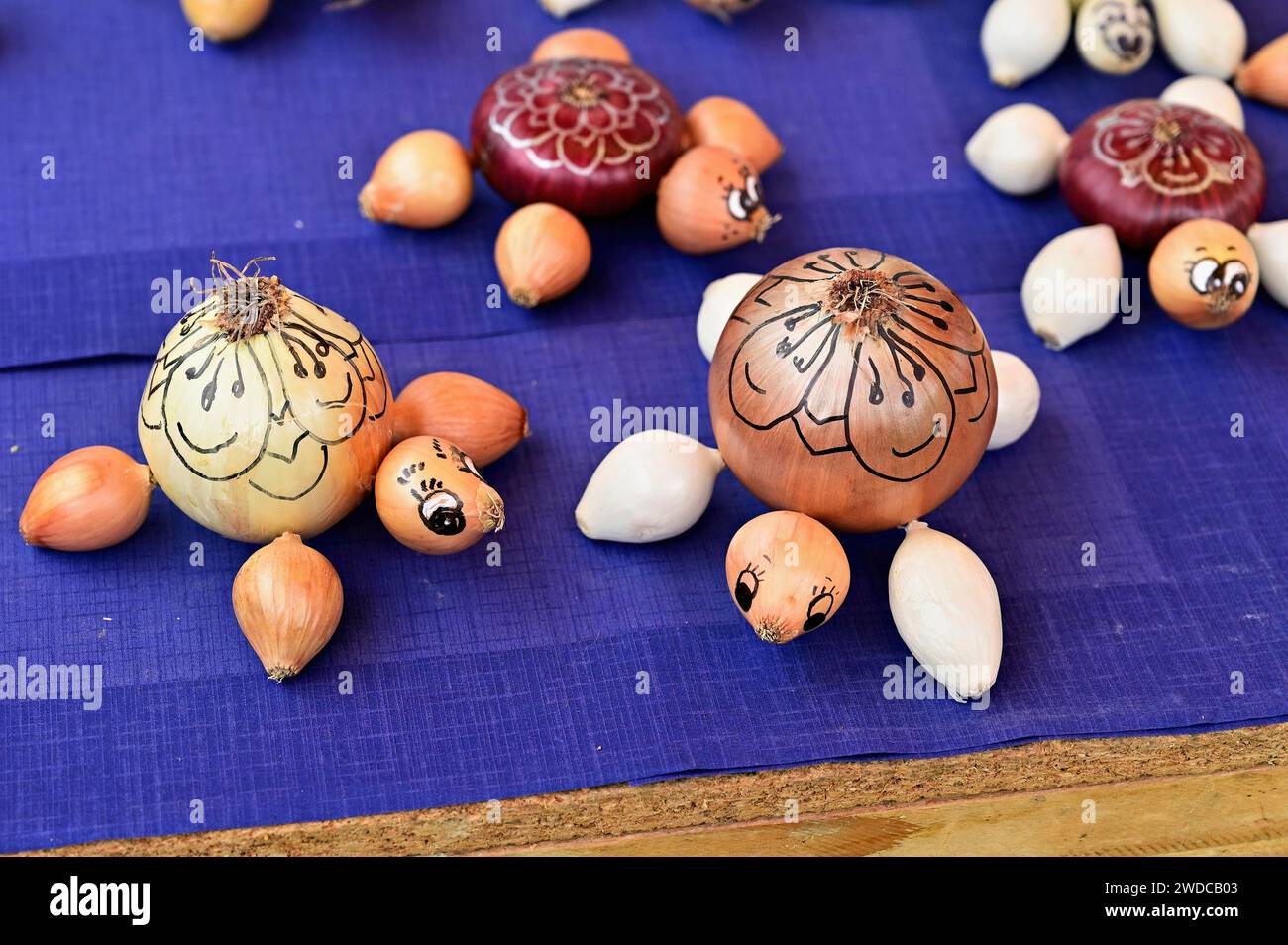 Bancarella di mercato con cipolle a forma di tartarughe, mercato delle cipolle, Berna, Cantone di Berna, Svizzera Foto Stock
