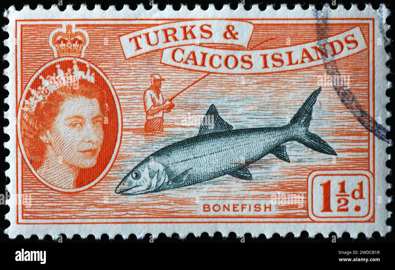 Pescatore e pesce su vintahe timbro di Turks e Caicos Foto Stock