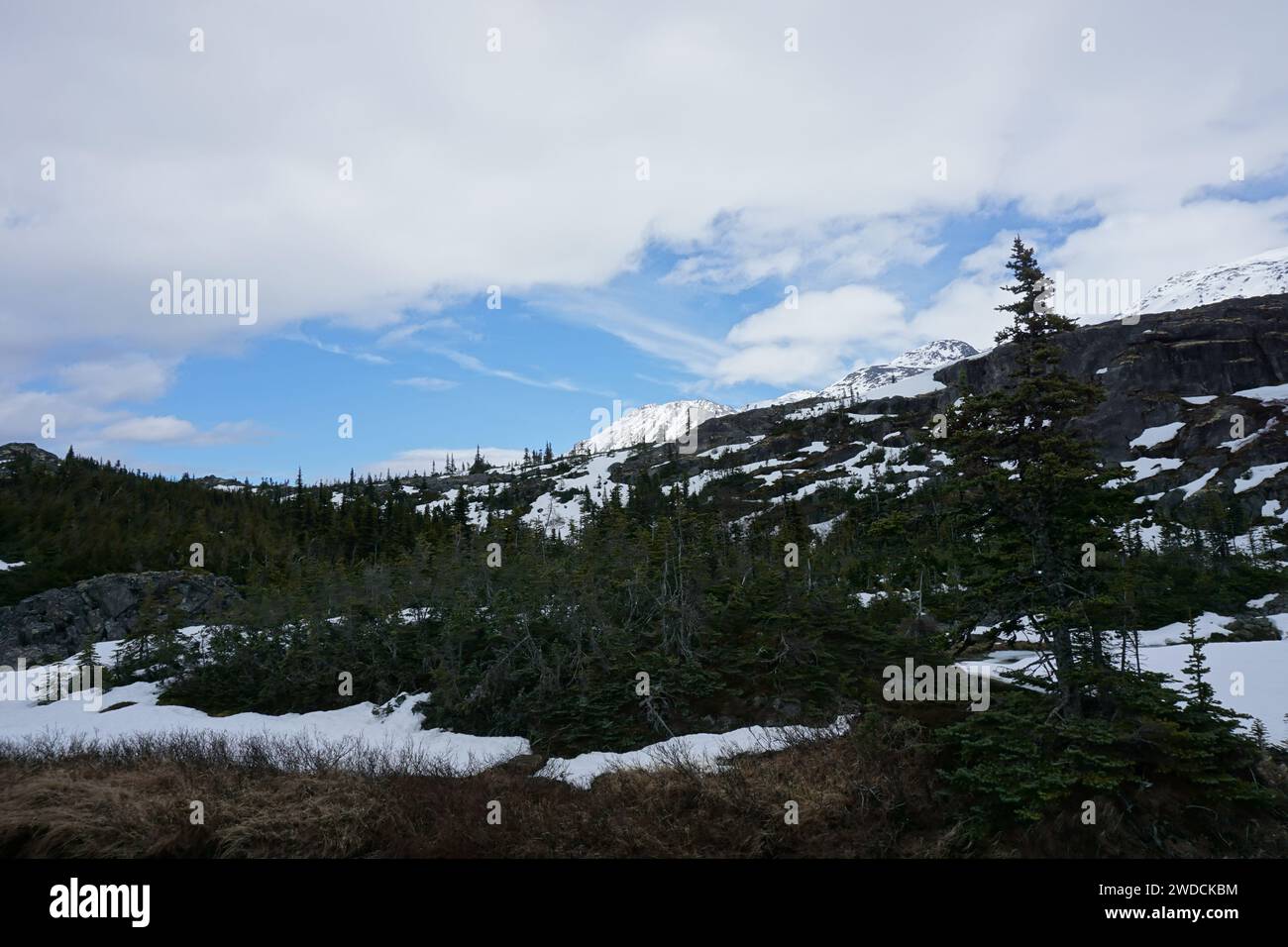 Montagne dell'Alaska e dello Yukon prese nel MAGGIO 2017 Foto Stock