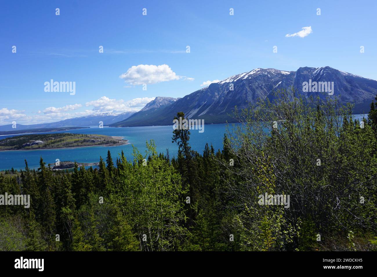 Montagne dell'Alaska e dello Yukon prese nel MAGGIO 2017 Foto Stock