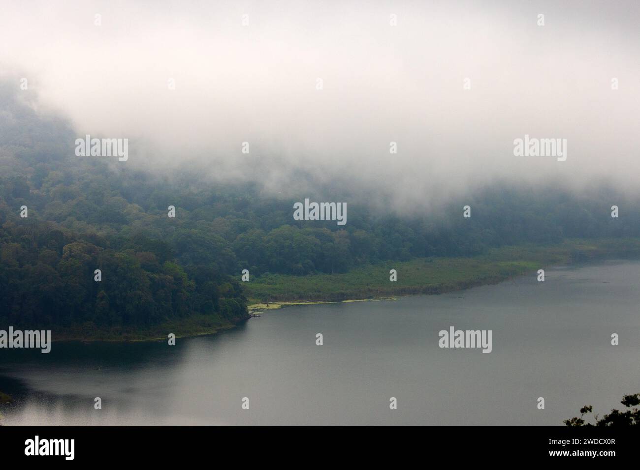 Il lago Tamblingan è circondato da fitte foreste, nebbia e nuvole, Bali, Indonesia Foto Stock