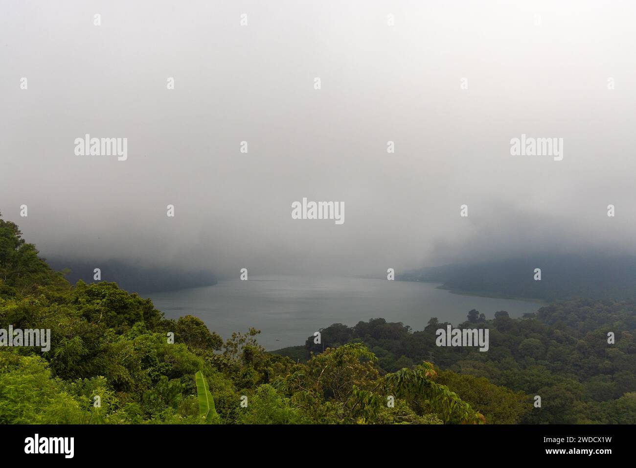 Il lago Buyan è circondato da una fitta foresta, nebbia e nuvole, Bali, Indonesia Foto Stock
